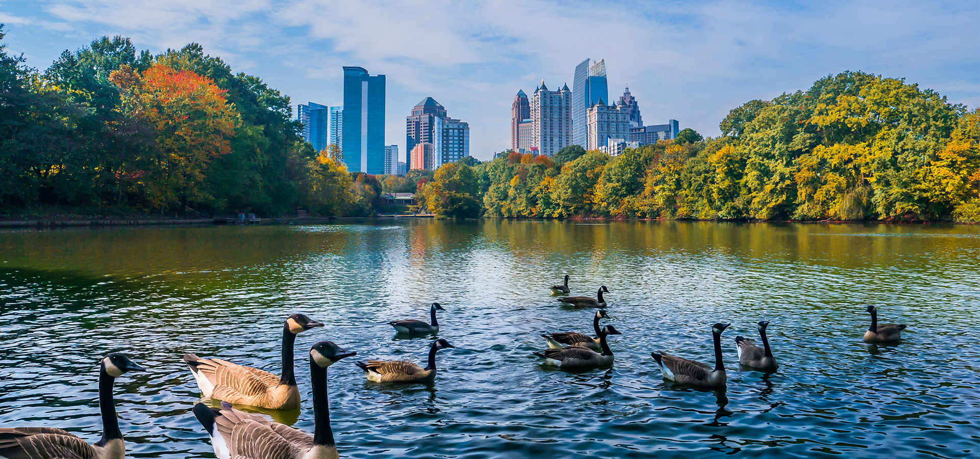 View of an Atlanta park and lake
